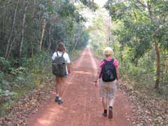 Angkor Jungle Trek