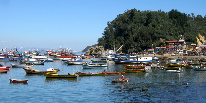  Tumbes Harbor 