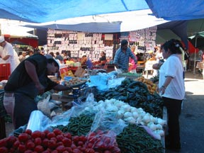 market5.jpg