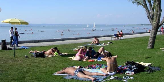 neusiedlerSee.jpg