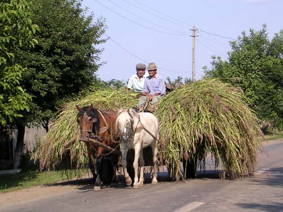 romanianWagon.jpg